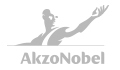 client-Akzo-Nobel